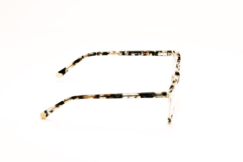 Charleston - havana/sort