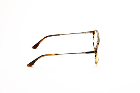 Dresden - havana/brun