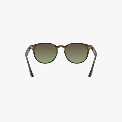 Ray-Ban RB4259 - 731/E8 - Grå havana