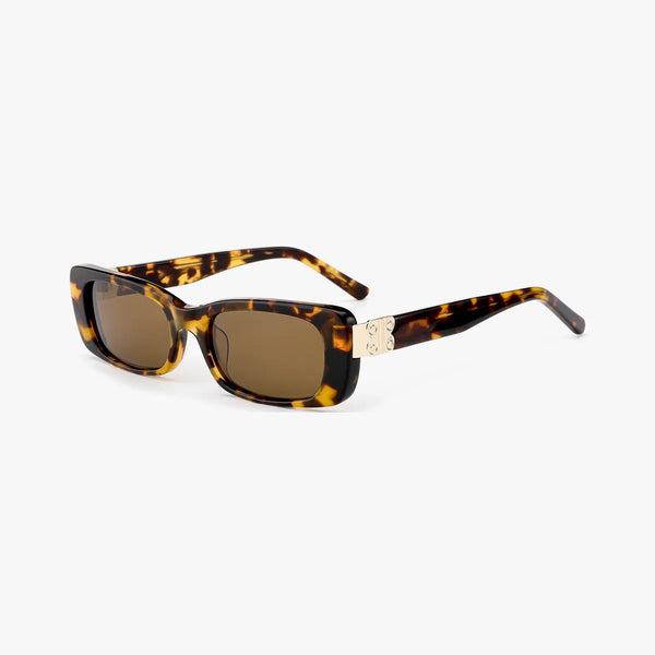Marcellus - Tortoise