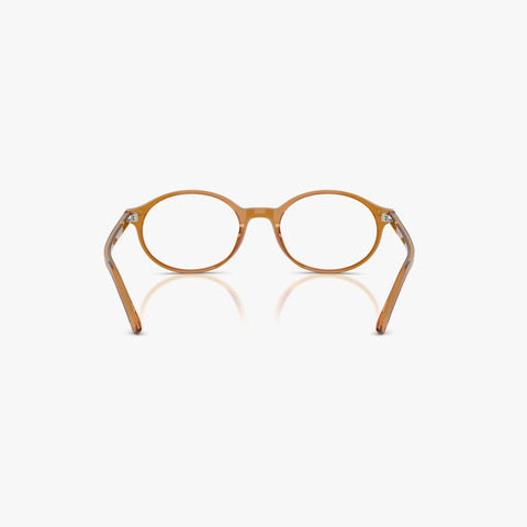 Ray-Ban GERMAN - 8439 - Transparent brun