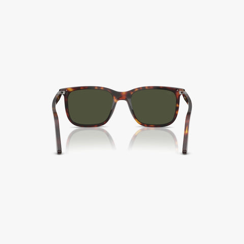 Persol RENZO - 24/31 - Havana