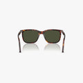 Persol RENZO - 24/31 - Havana