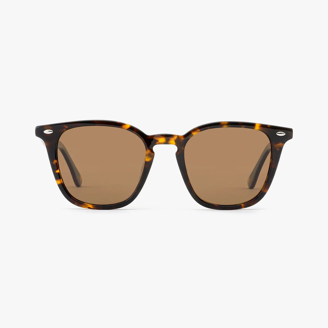 Clarion - Tortoise