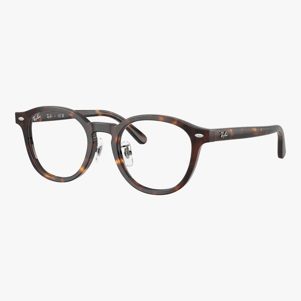 Ray-Ban RX5443D - 2012 - Havana