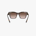 Dolce & Gabbana DG4384 - 502/13 - Havana