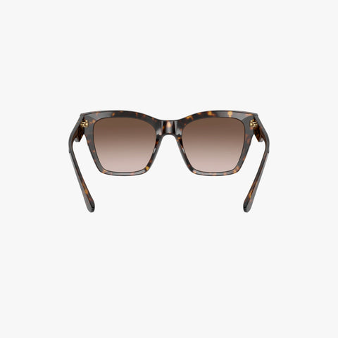 Dolce & Gabbana DG4384 - 502/13 - Havana