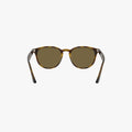 Ray-Ban RB4259 - 710/73 - Lys havana