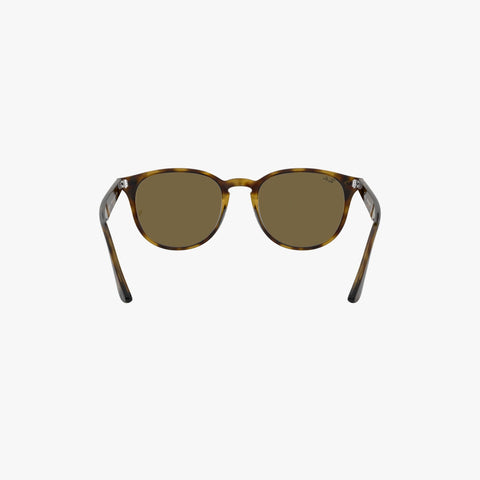 Ray-Ban RB4259 - 710/73 - Lys havana