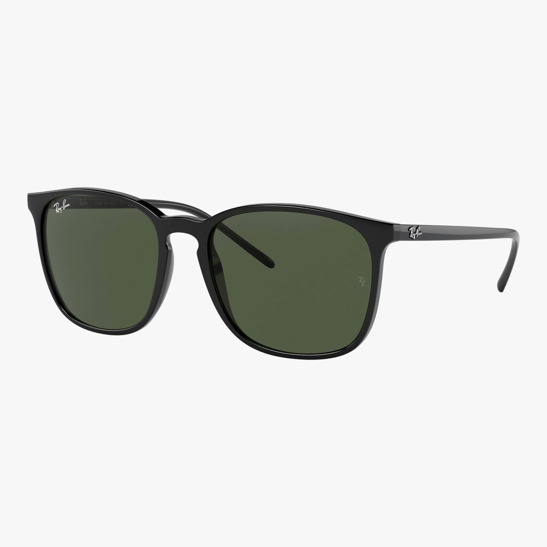 Ray-Ban RB4387 - 601/71 - Sort
