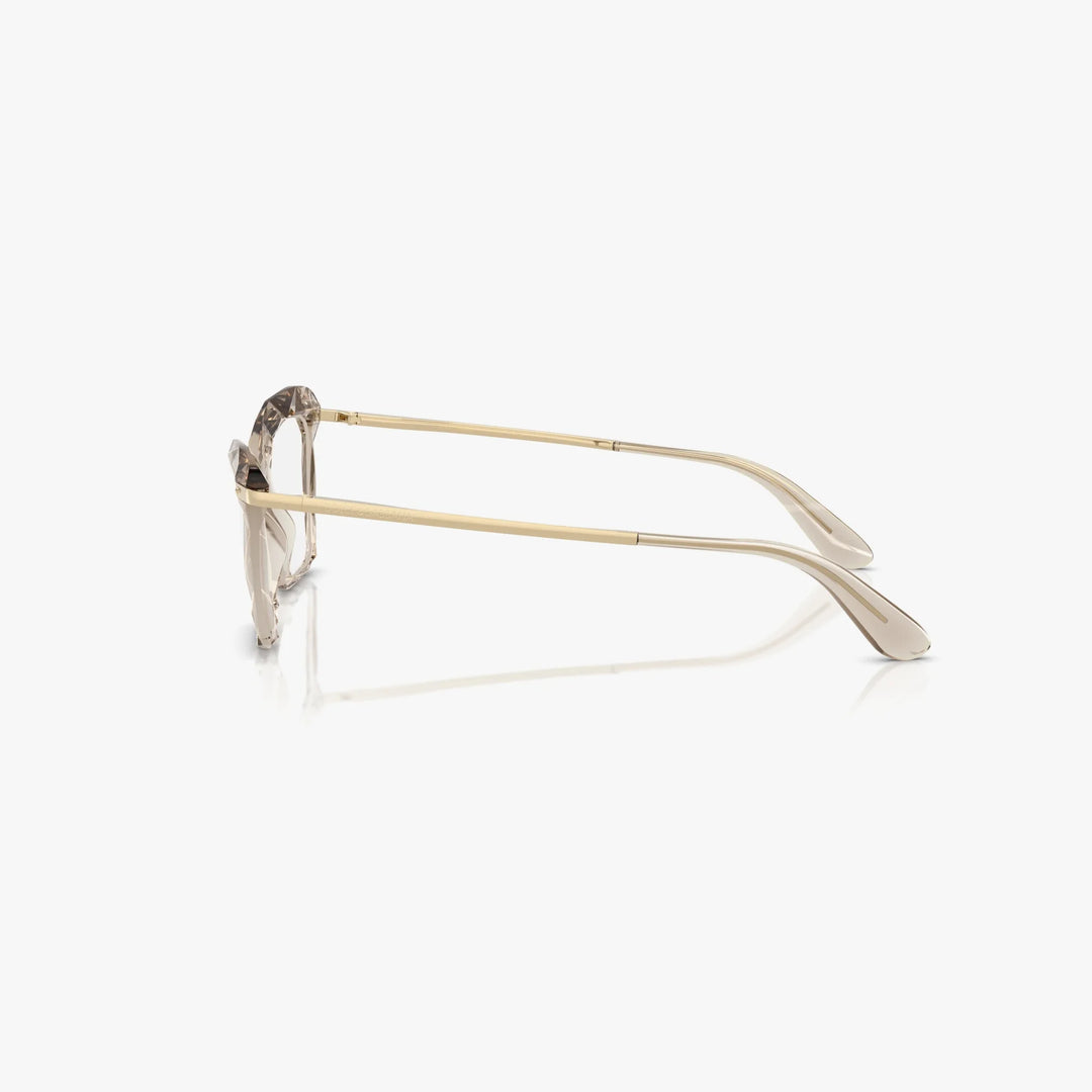 Dolce & Gabbana DG5025 - 3432 - Transparent camel