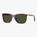 Persol RENZO - 24/31 - Havana