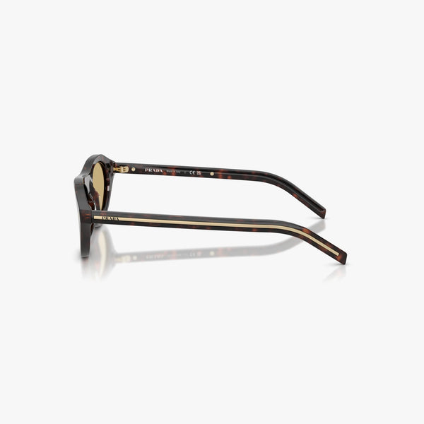 Prada PR B15S - 17N70R - Tortoise