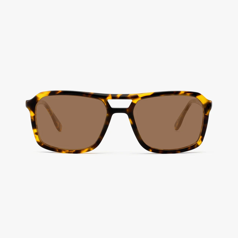 Crescendo tortoise aviator solbrille