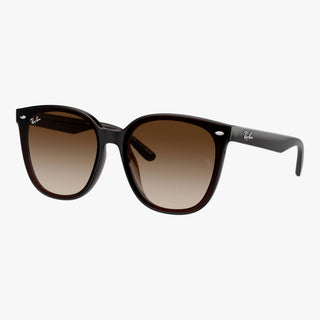 Ray-Ban RB4423D - 714/13 - Transparent brun
