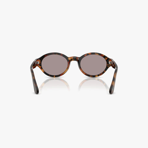 Persol LORIS - 105253 tortoise rund solbrille