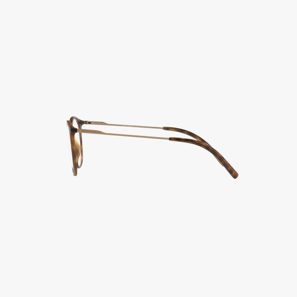 Dolce & Gabbana DG5031 - 1935 - Havana
