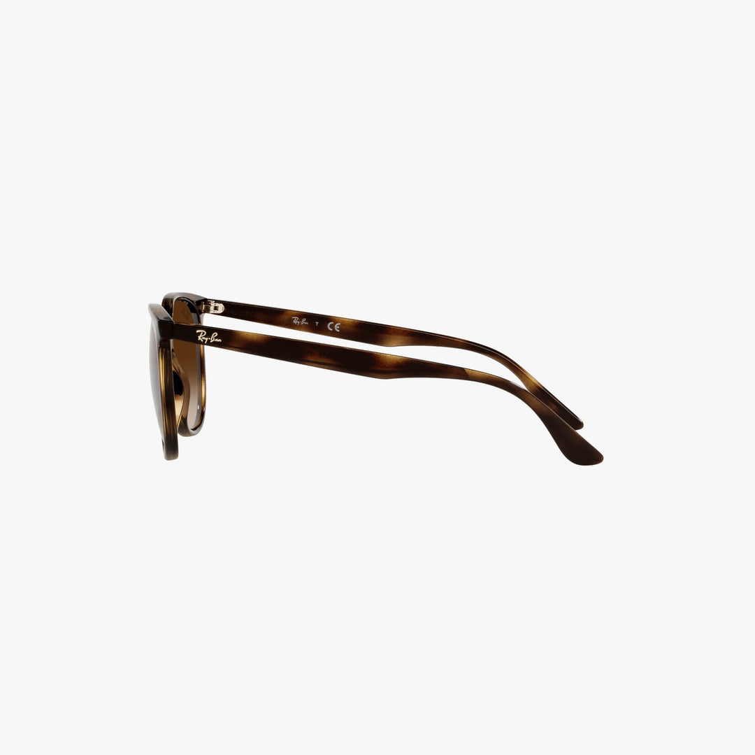 Ray-Ban RB4378 - 710/13 - Havana