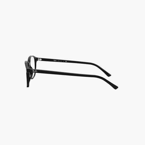 Ray-Ban LEONARD - 2000 sort panto brille