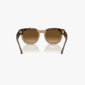 Ray-Ban MEGA HAWKEYE - 1292M2 - Havana på transparent brun