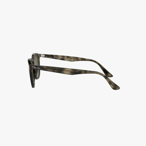 Ray-Ban RB4259 - 731/E8 - Grå havana