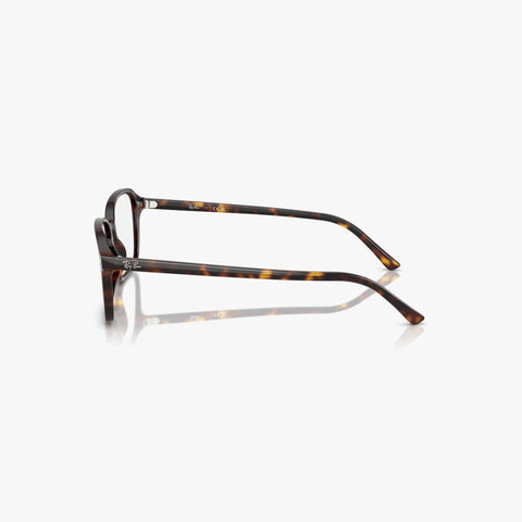 Ray-Ban RAIMOND - 2012 - Havana