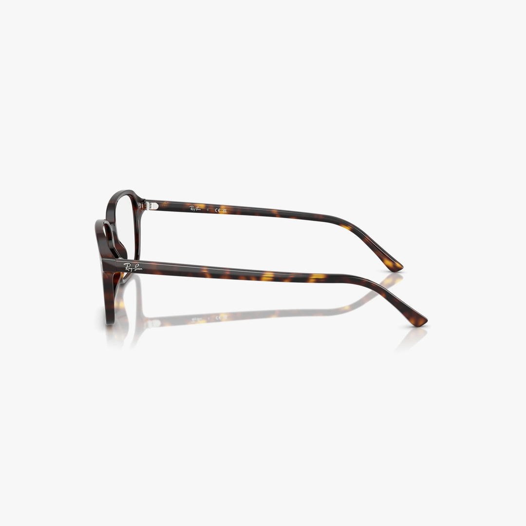 Ray-Ban RAIMOND - 2012 - Havana