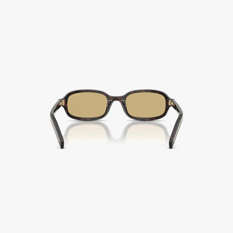 Prada PR D06S - 17N70R - Tortoise