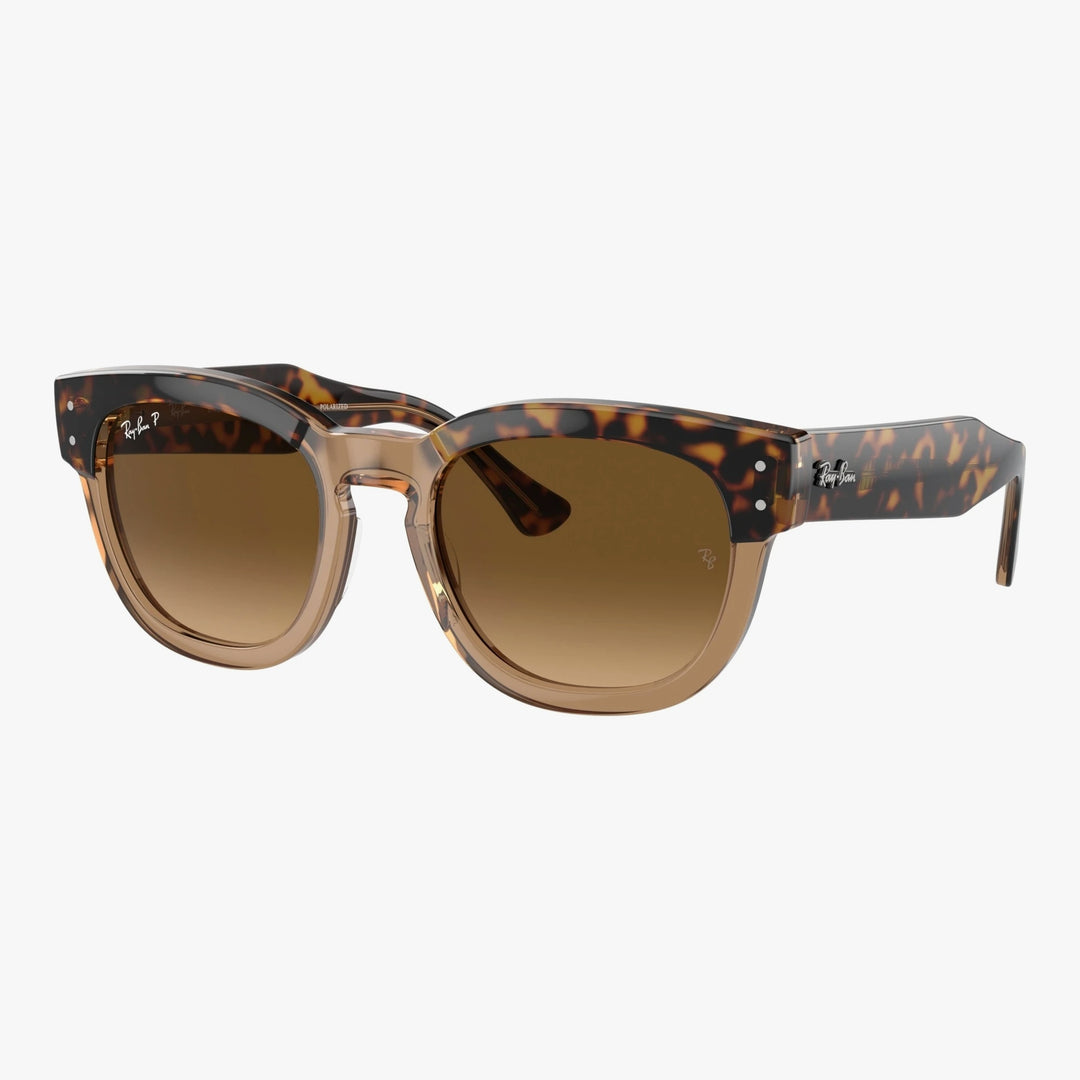 Ray-Ban MEGA HAWKEYE - 1292M2 - Havana på transparent brun