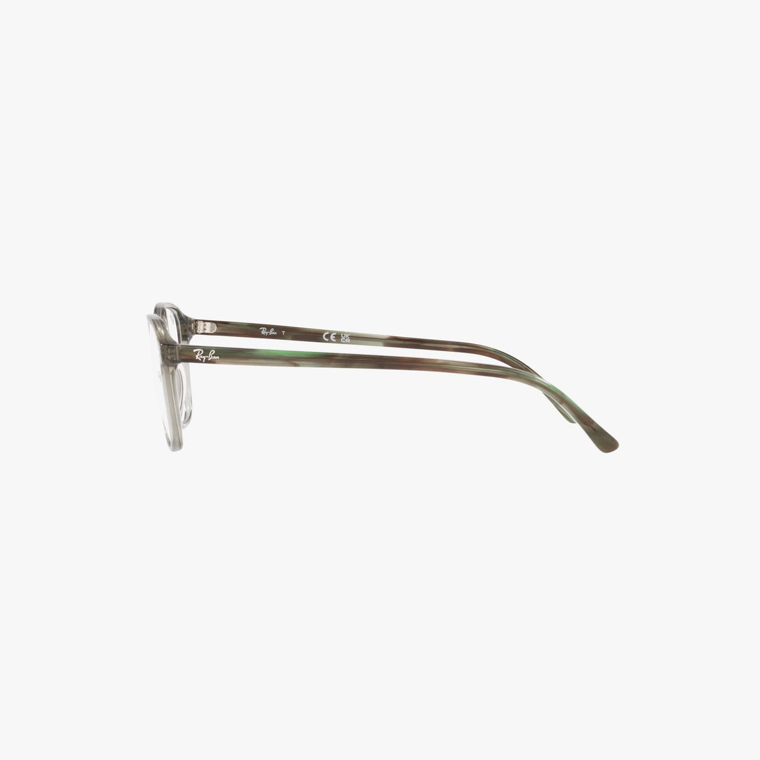 Ray-Ban LEONARD - 8178 - Transparent grøn