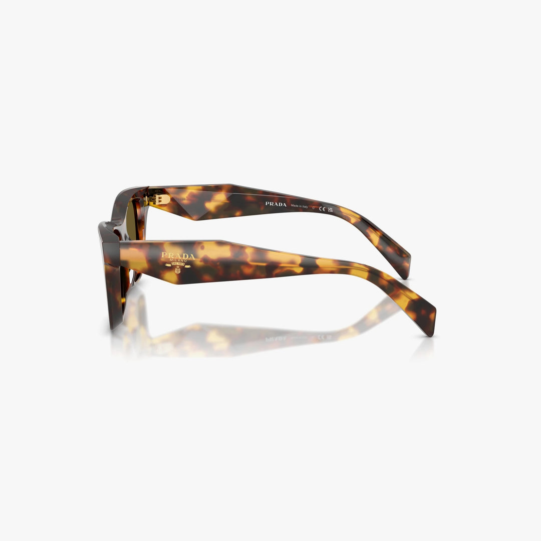 Prada PR C07S - 14L09Z - Tortoise