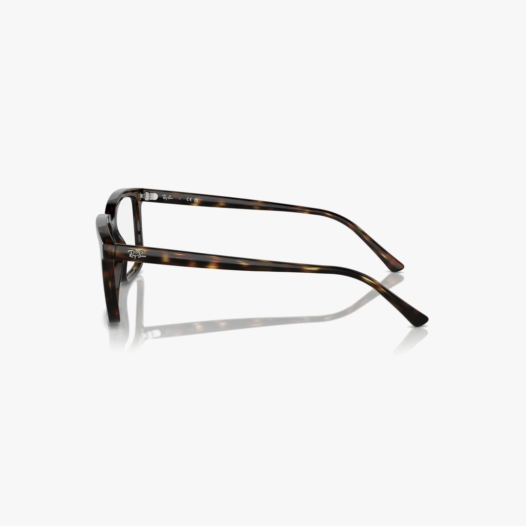 Ray-Ban ALAIN - 2012 - Havana