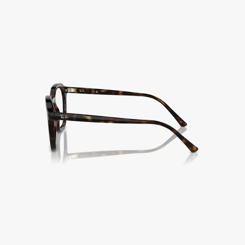Ray-Ban ALICE - 2012 havana panto brille