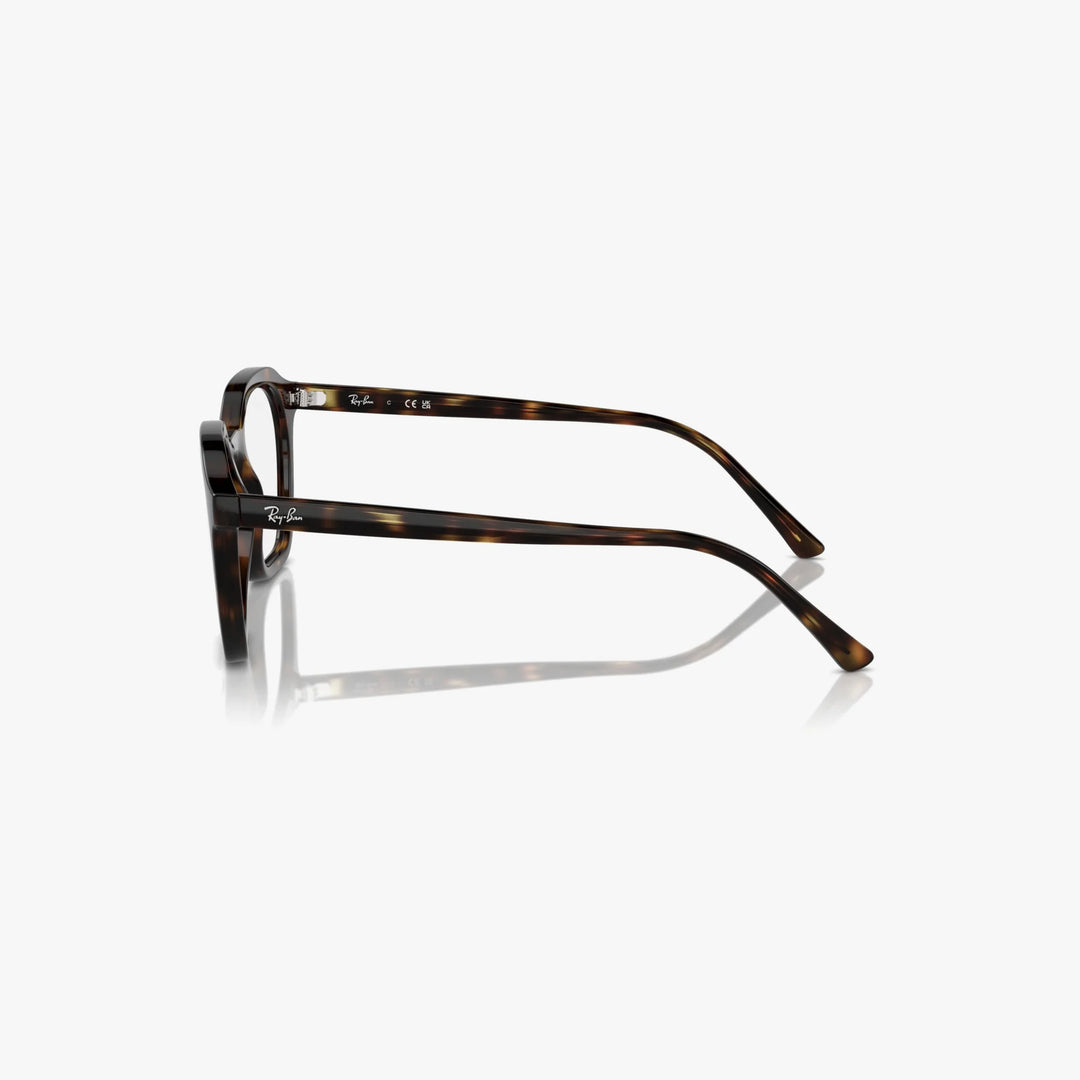Ray-Ban ALICE - 2012 - Havana