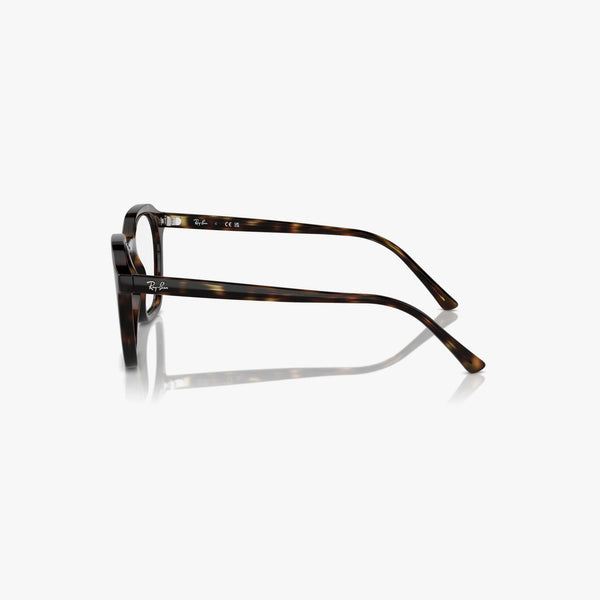 Ray-Ban ALICE - 2012 - Havana