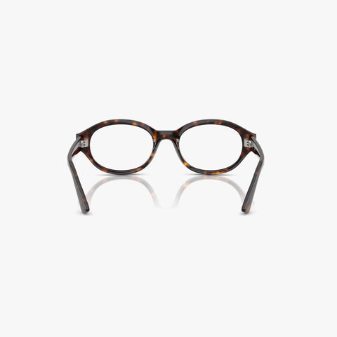 Ray-Ban SHILO - 8320 - Havana