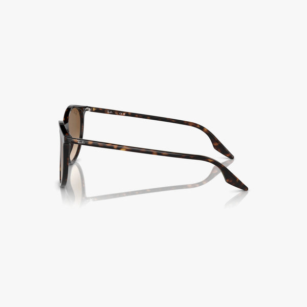Ray-Ban RB2204 - 902/51 - Havana