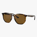 Ray-Ban RB4306 - 710/83 - Havana