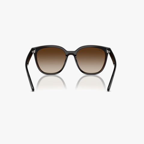 Ray-Ban RB4423D - 714/13 - Transparent brun