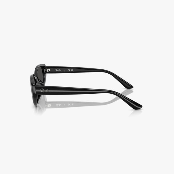 Ray-Ban RB4457D - 667787 - Sort