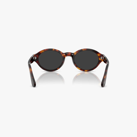 Persol LORIS - 24/48 - Havana