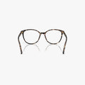 Dolce & Gabbana DG3425 - 3438 - Havana