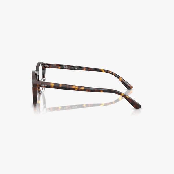 Ray-Ban RX5443D - 2012 - Havana