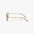 Ray-Ban RX6534 - 3188 - Havana og guld