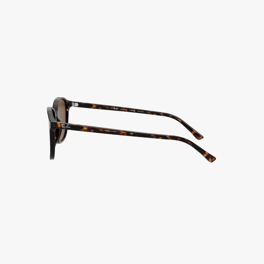 Ray-Ban LEONARD - 902/57 - Tortoise