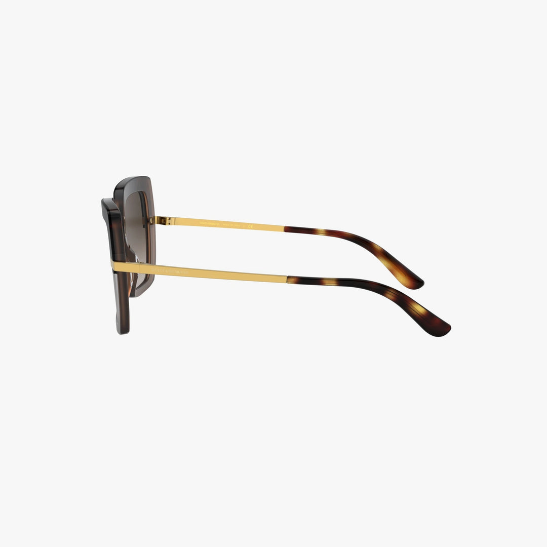 Dolce & Gabbana DG4373 - 325613 - Havana på transparent brun