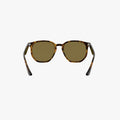 Ray-Ban RB4306 - 710/73 - Havana