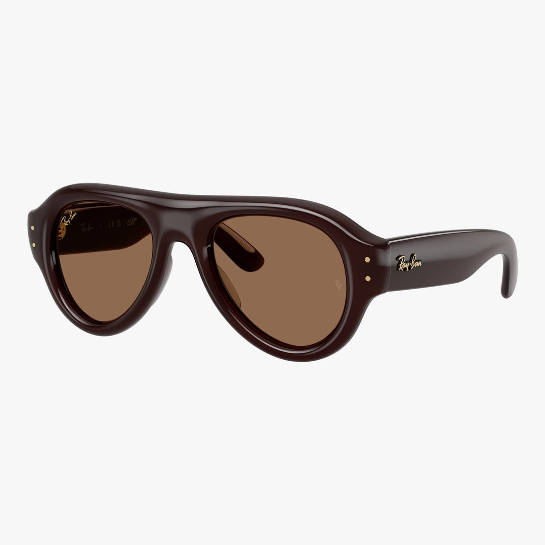 Ray-Ban RB4925 - 689673 - Transparent brun