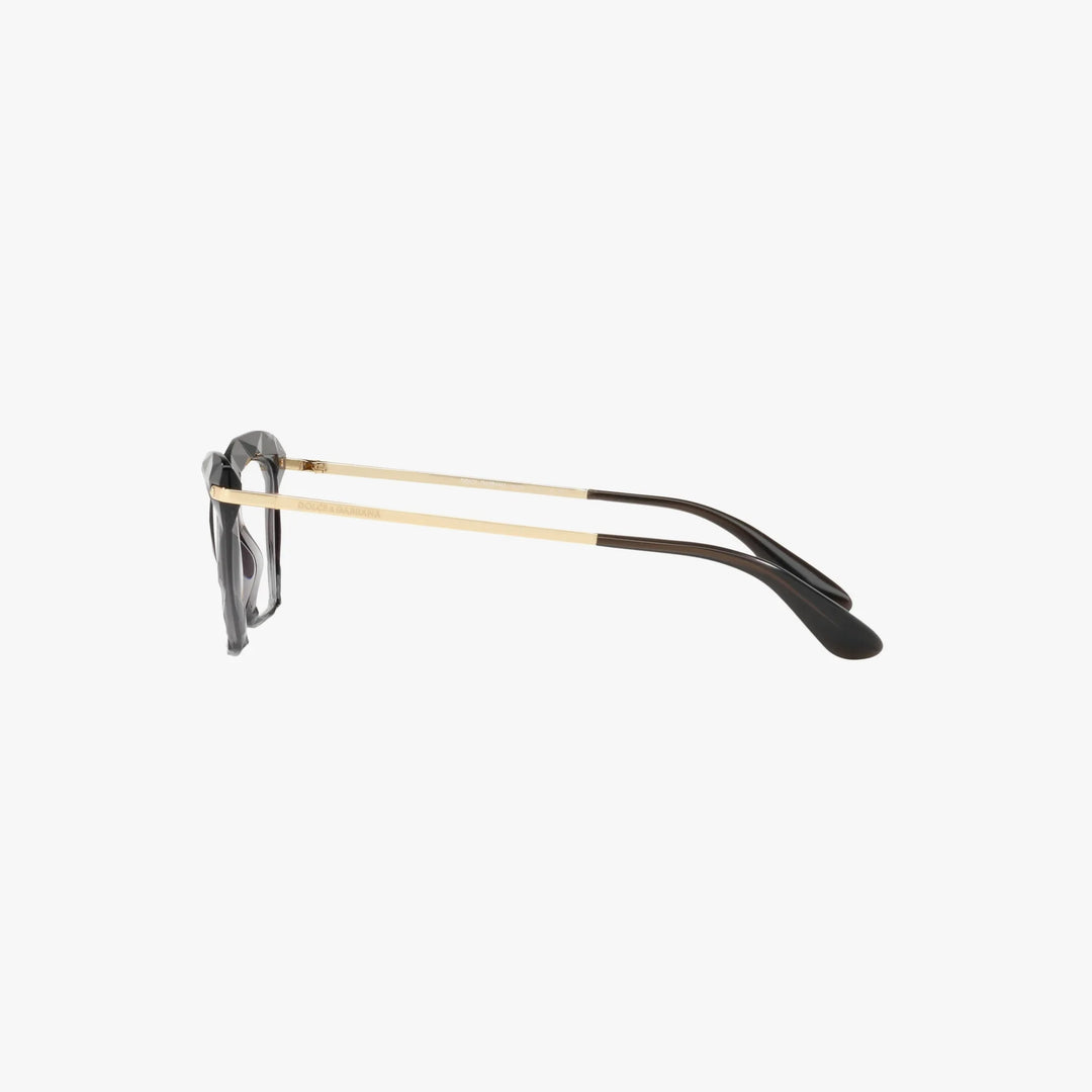 Dolce & Gabbana DG5025 - 504 - Transparent grå