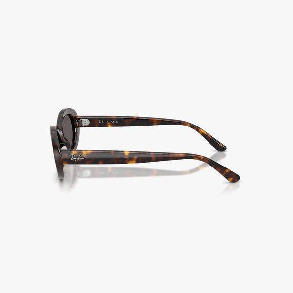 Ray-Ban RB2223 - 902/B1 - Havana